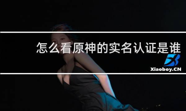 怎么看原神的实名认证是谁