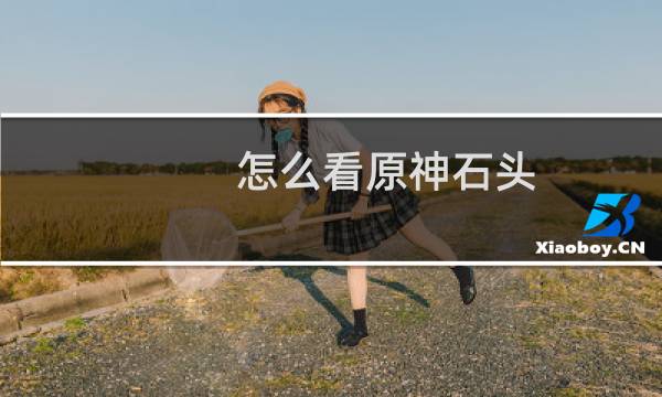 怎么看原神石头