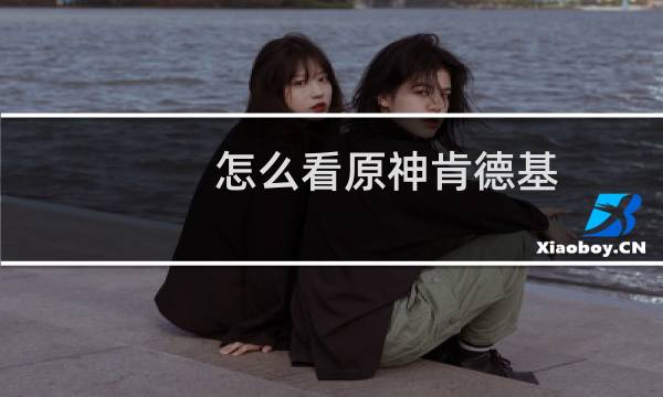 怎么看原神肯德基