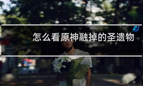怎么看原神融掉的圣遗物