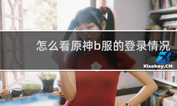 怎么看原神b服的登录情况
