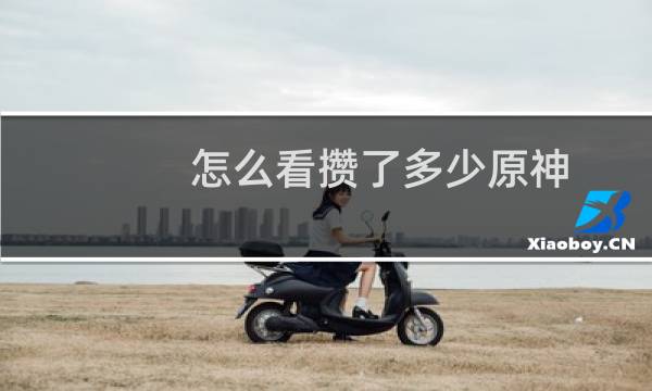 怎么看攒了多少原神