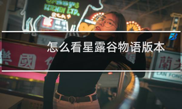 怎么看星露谷物语版本