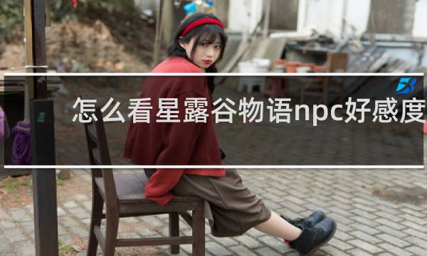 怎么看星露谷物语npc好感度