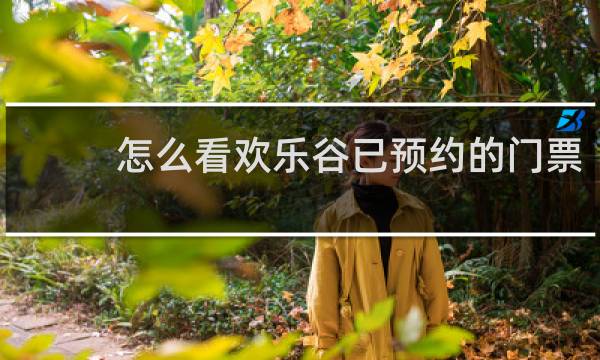 怎么看欢乐谷已预约的门票