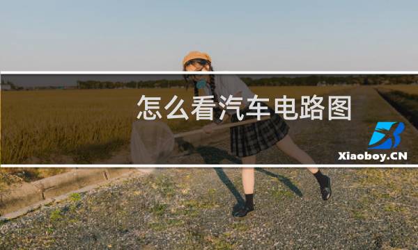 怎么看汽车电路图