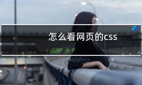 怎么看网页的css