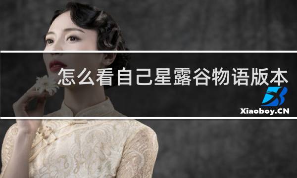怎么看自己星露谷物语版本