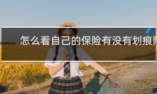 怎么看自己的保险有没有划痕险