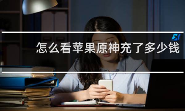 怎么看苹果原神充了多少钱