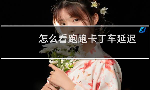 怎么看跑跑卡丁车延迟