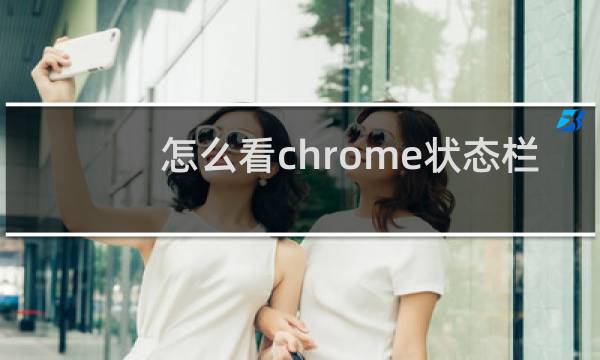 怎么看chrome状态栏
