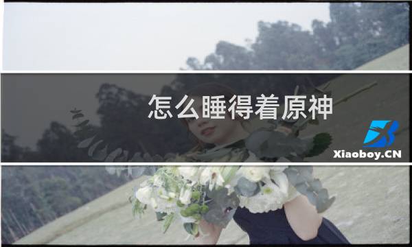 怎么睡得着原神
