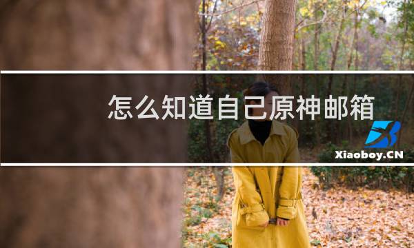 怎么知道自己原神邮箱