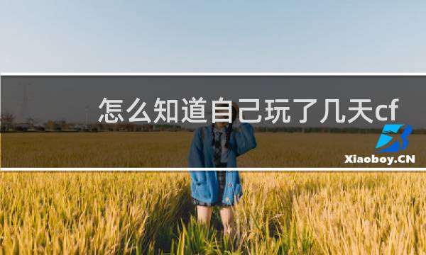 怎么知道自己玩了几天cf