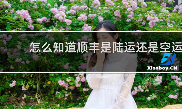 怎么知道顺丰是陆运还是空运