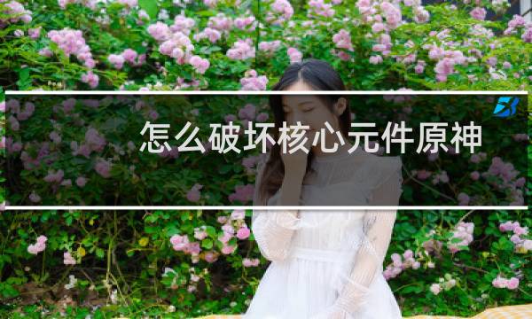 怎么破坏核心元件原神