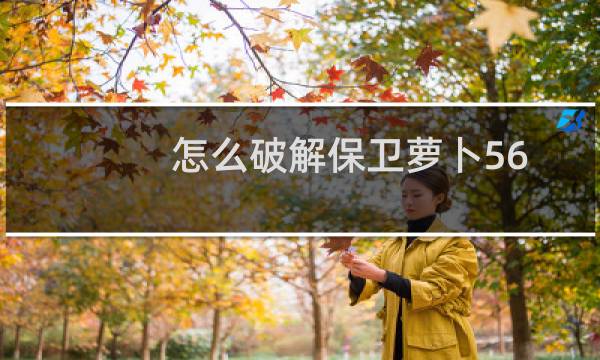 怎么破解保卫萝卜56