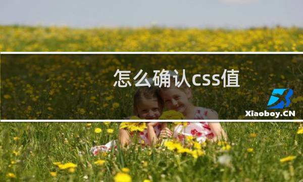 怎么确认css值
