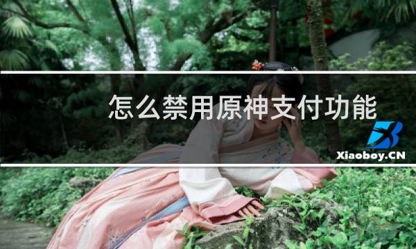 怎么禁用原神支付功能