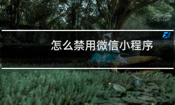 怎么禁用微信小程序