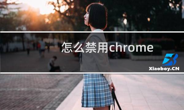 怎么禁用chrome