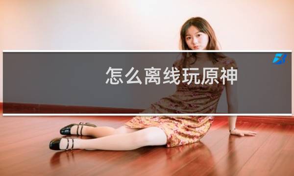 怎么离线玩原神