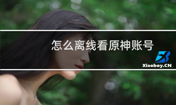 怎么离线看原神账号