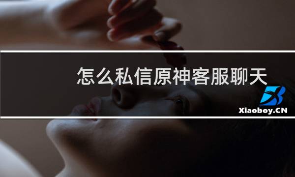怎么私信原神客服聊天