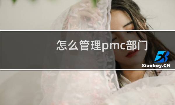 怎么管理pmc部门