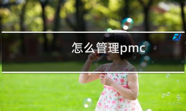 怎么管理pmc