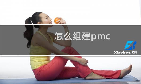 怎么组建pmc
