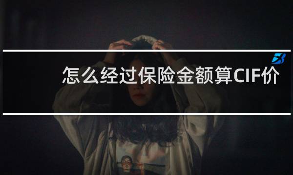 怎么经过保险金额算CIF价