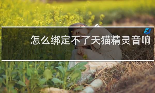 怎么绑定不了天猫精灵音响