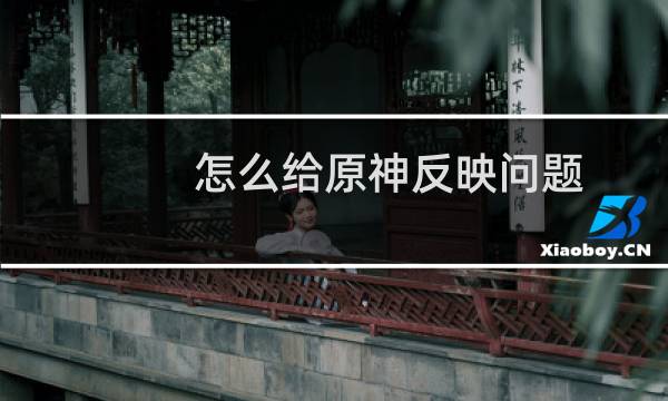 怎么给原神反映问题