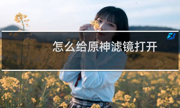 怎么给原神滤镜打开