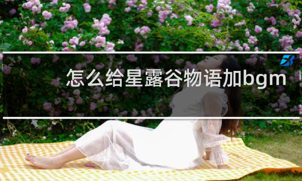 怎么给星露谷物语加bgm