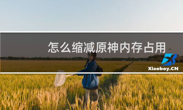 怎么缩减原神内存占用