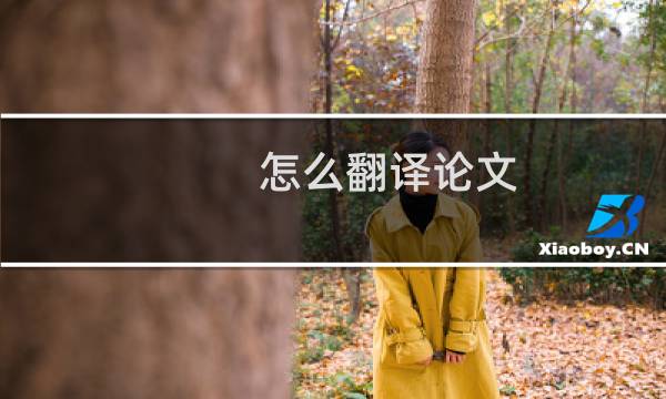 怎么翻译论文