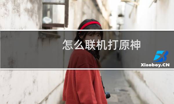 怎么联机打原神