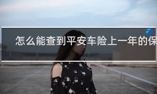 怎么能查到平安车险上一年的保单