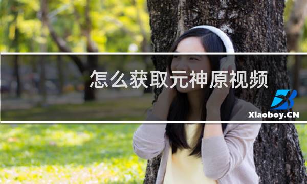 怎么获取元神原视频