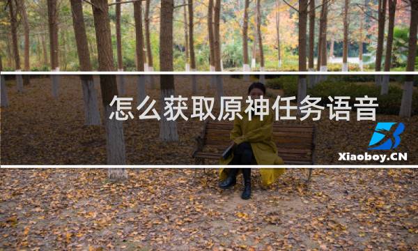 怎么获取原神任务语音