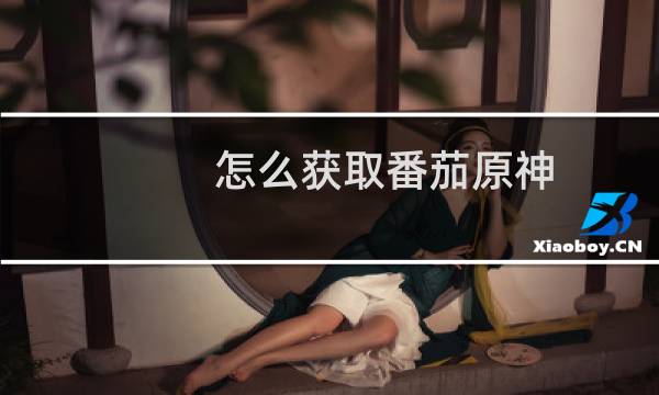 怎么获取番茄原神