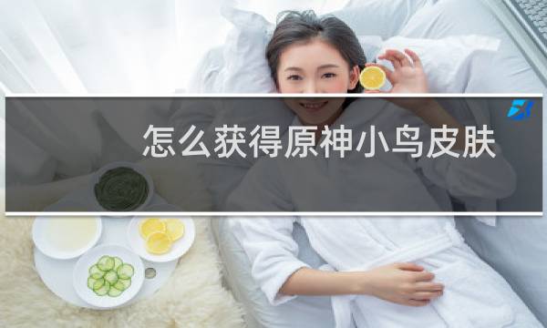 怎么获得原神小鸟皮肤