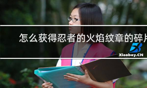 怎么获得忍者的火焰纹章的碎片