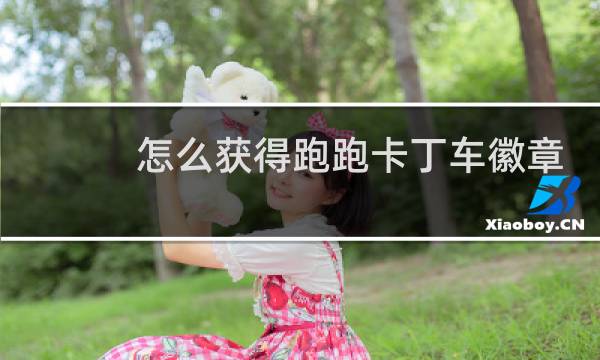 怎么获得跑跑卡丁车徽章