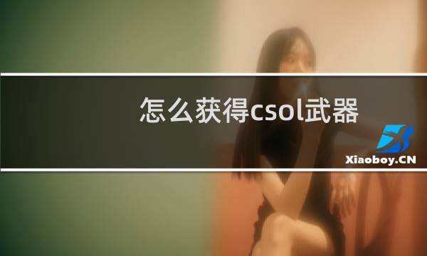 怎么获得csol武器