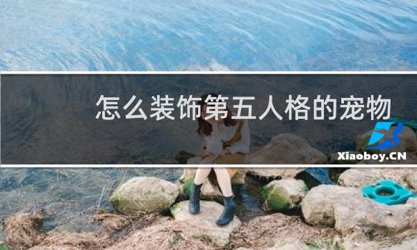 怎么装饰第五人格的宠物