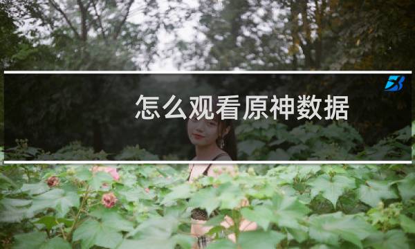 怎么观看原神数据
